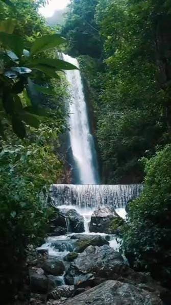 Five forest falls that make Lalitpur feel wild again article image